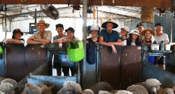 Esperance Farm Experience